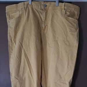 Loft modern skinny crop